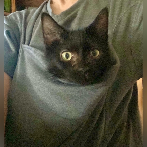 Meet your Posher, Li - Picture 7 of 12